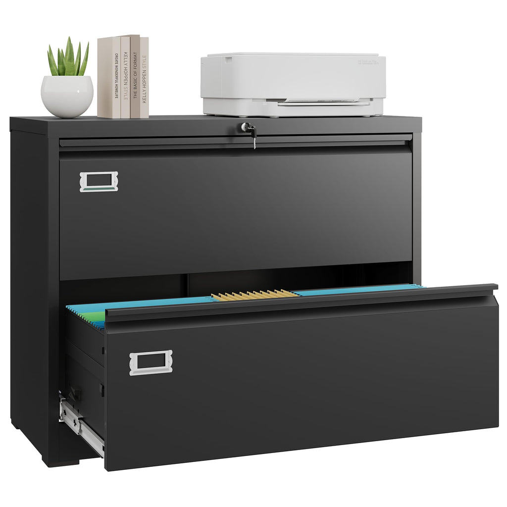 2 Drawer File Cabinet with Lock B101