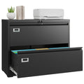 2 Drawer File Cabinet with Lock B101