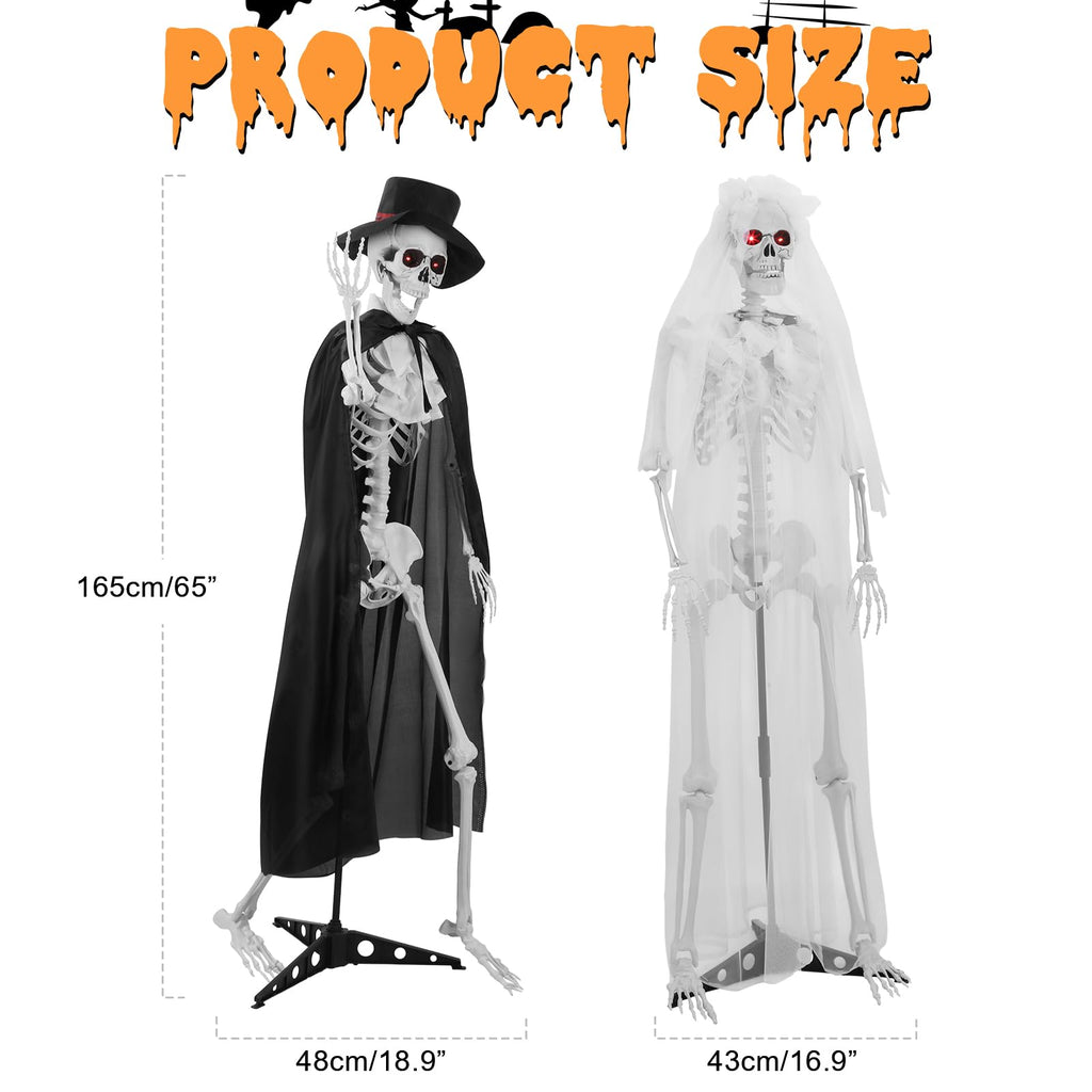 Life Size Skeleton C37763