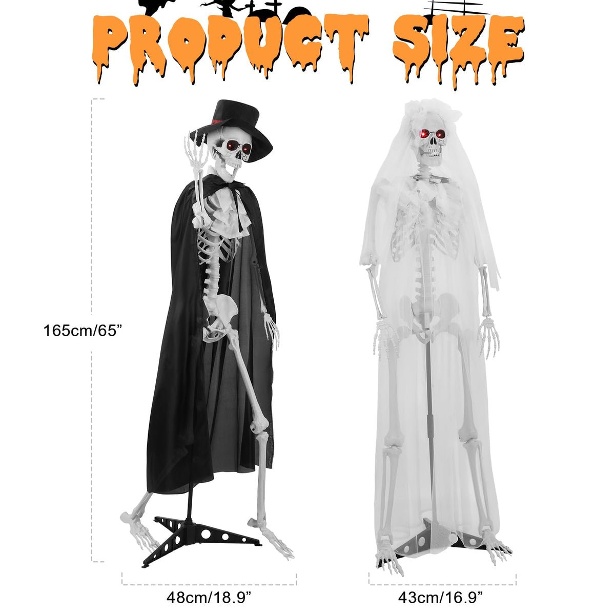 Life Size Skeleton C37763