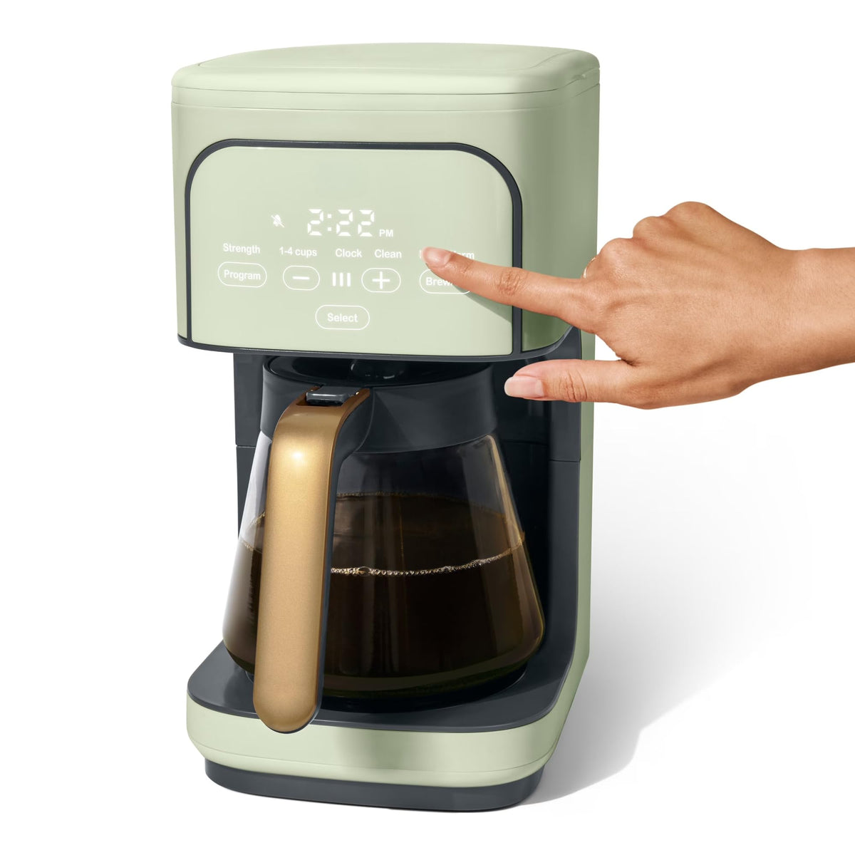 Sage Green 12-Cup Programmable Drip Coffee Maker W9037