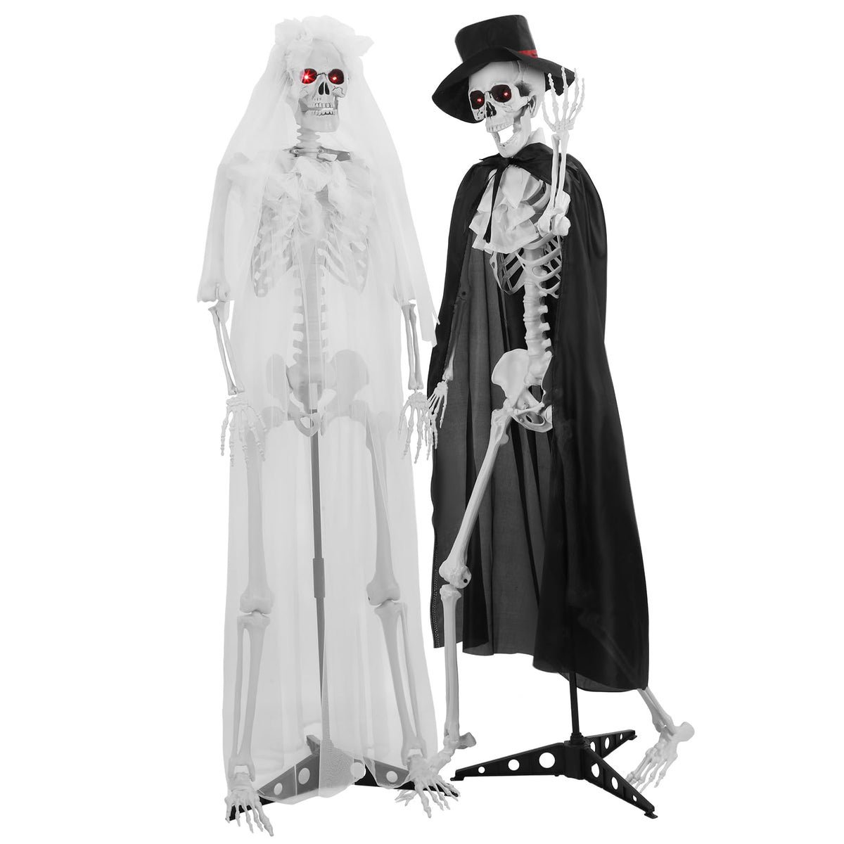 Life Size Skeleton C37763