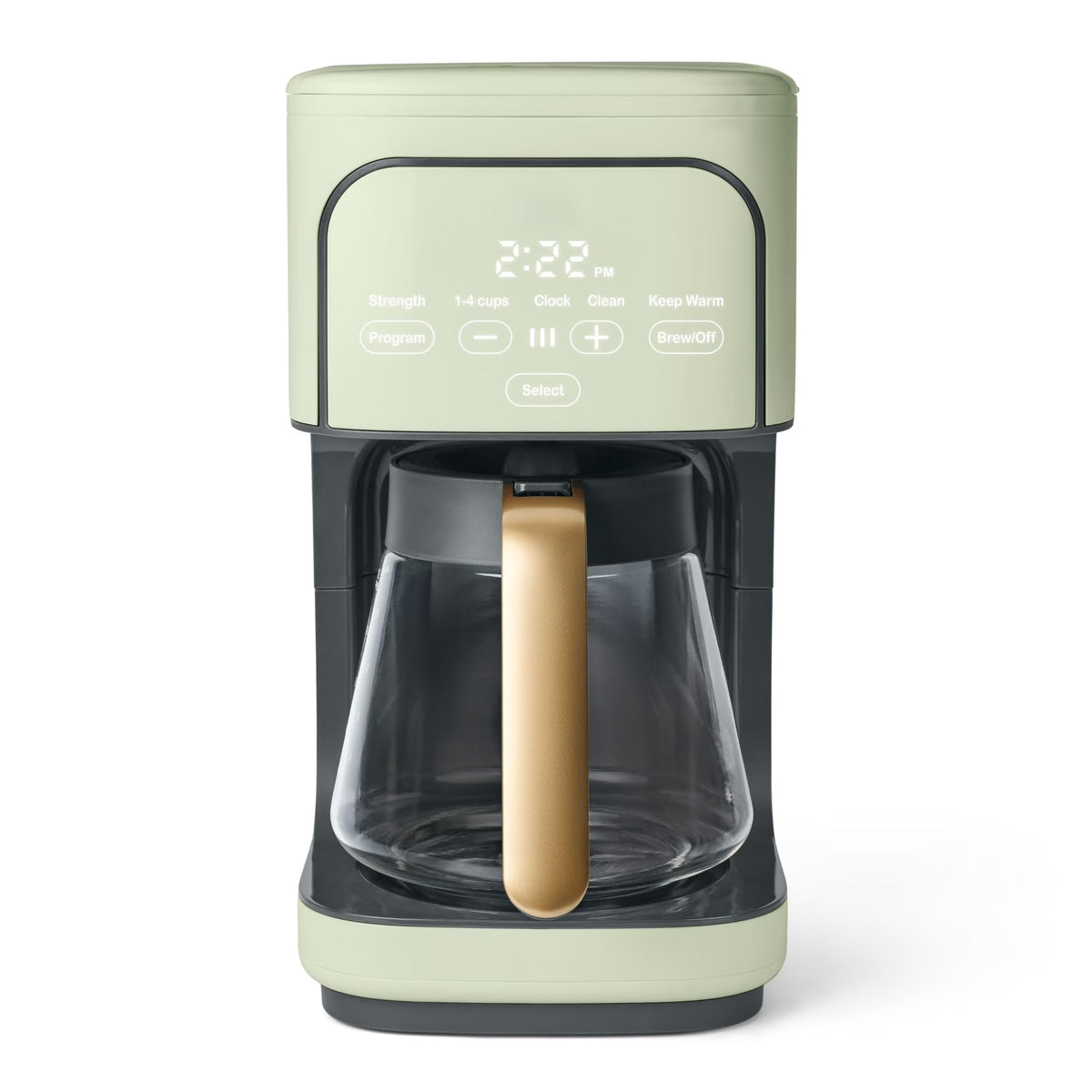 Sage Green 12-Cup Programmable Drip Coffee Maker W9037