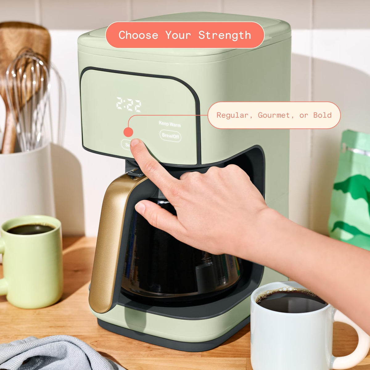 Sage Green 12-Cup Programmable Drip Coffee Maker W9037