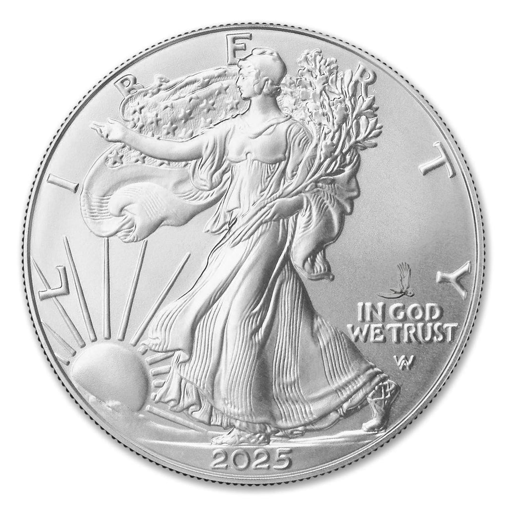10 1 oz American Silver Eagle Coin B783570