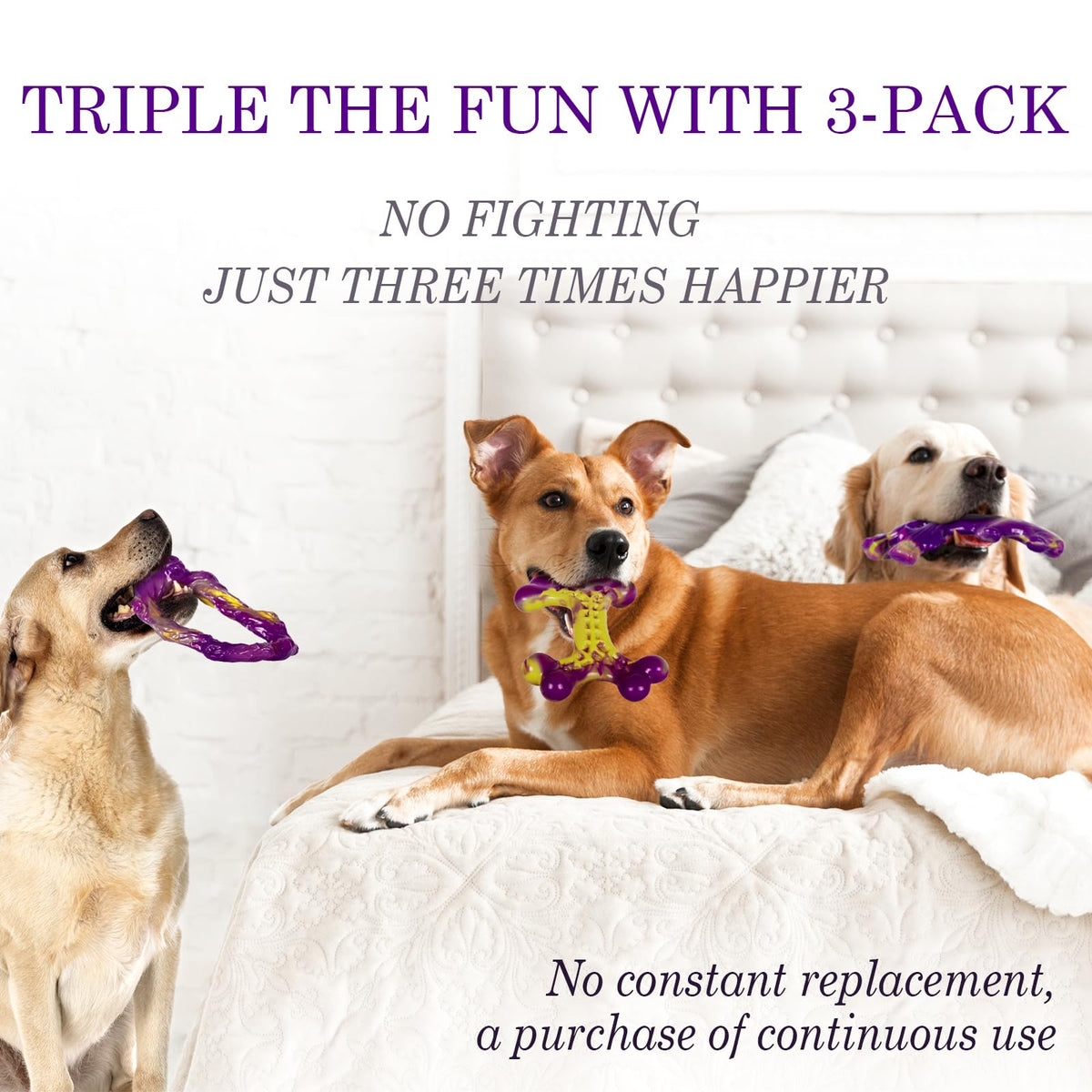 Tough Dog Chew Toys 3 Pack for Large Dogs U68535