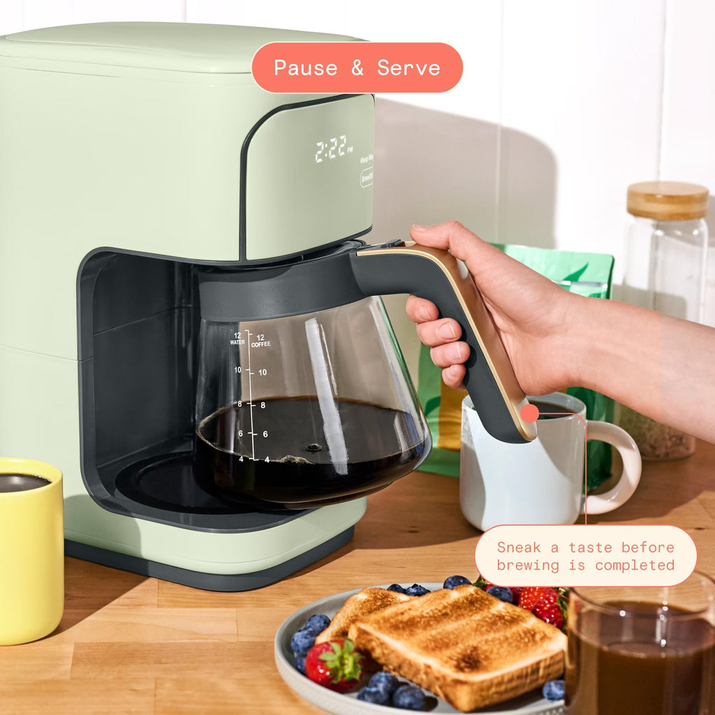 Sage Green 12-Cup Programmable Drip Coffee Maker W9037