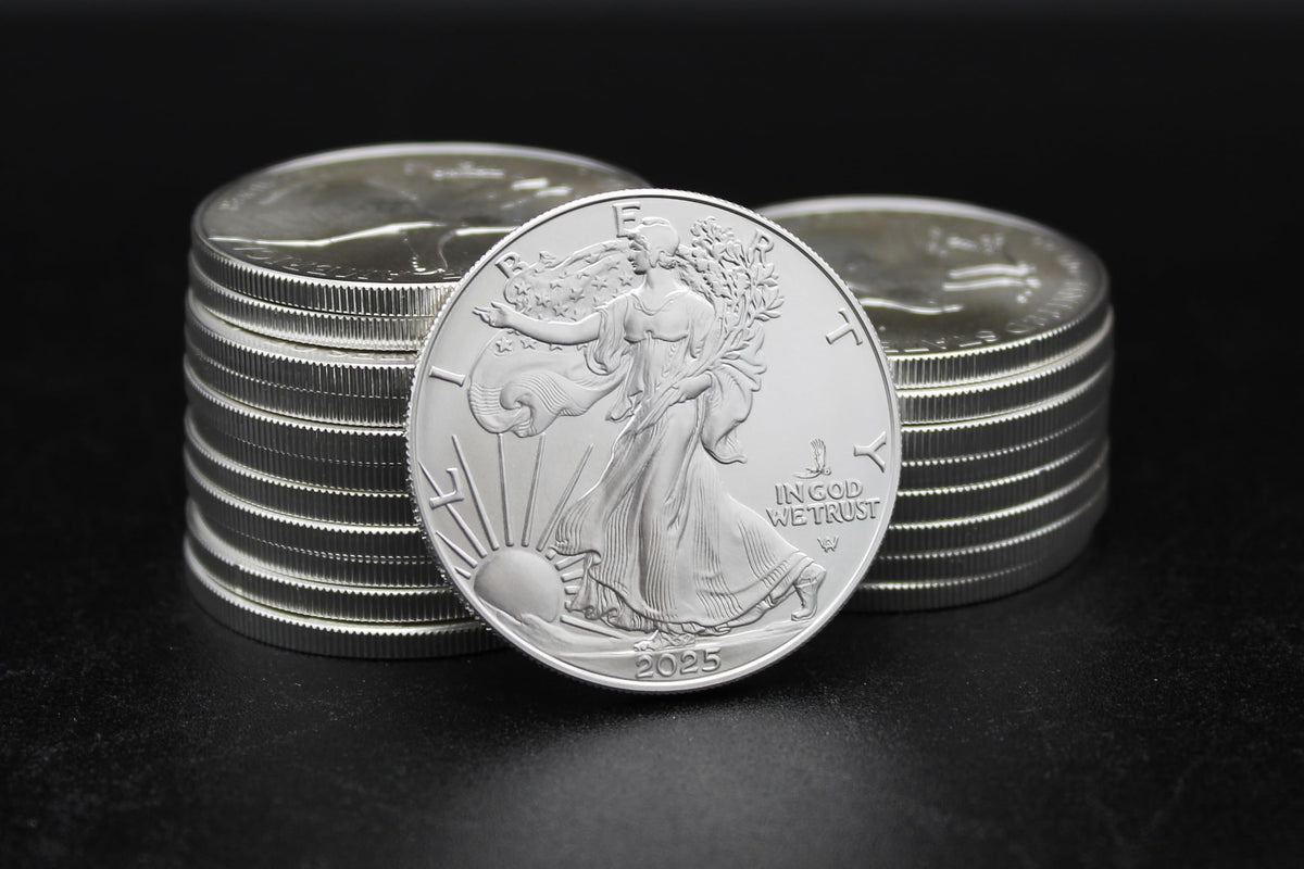 10 1 oz American Silver Eagle Coin B783570
