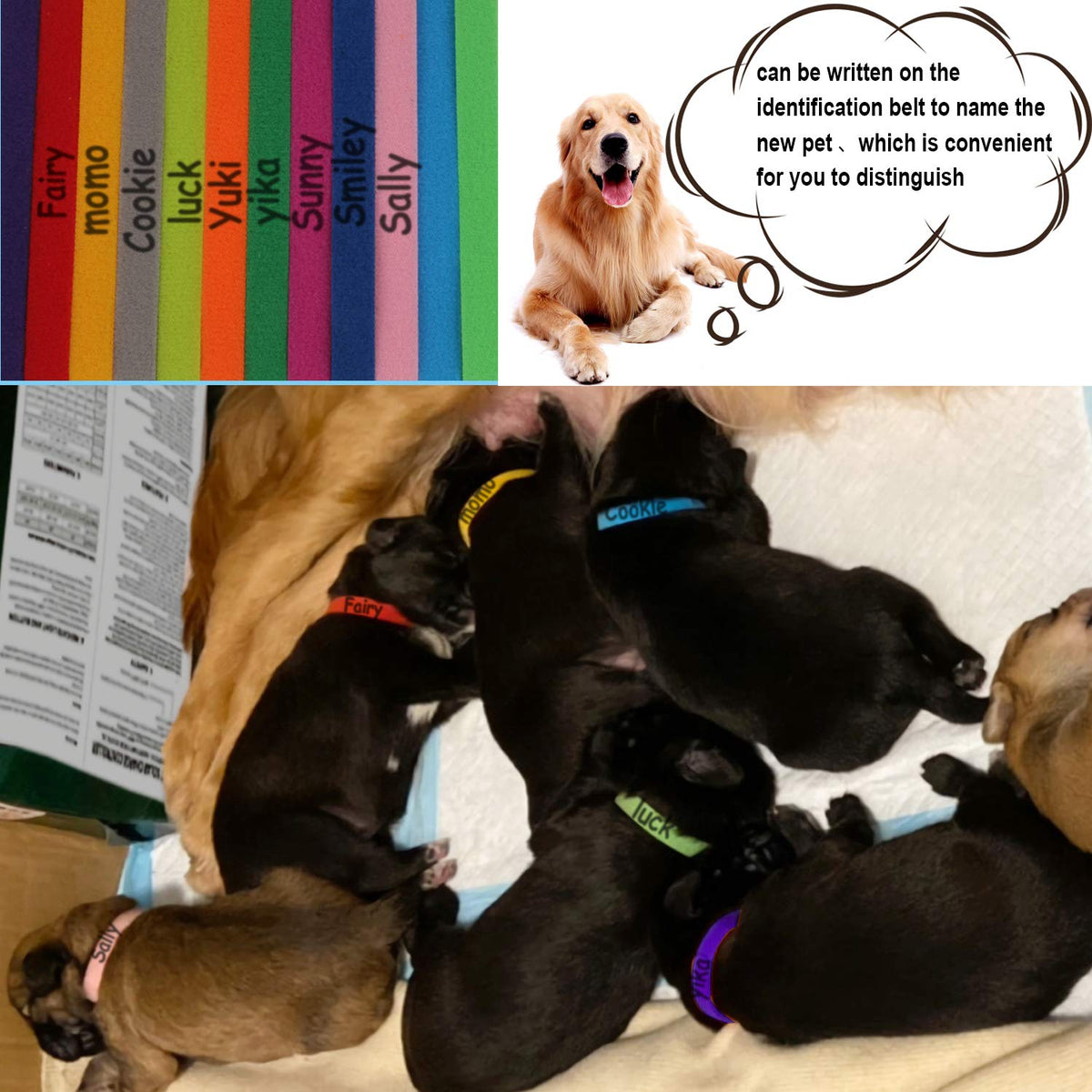 15 Pcs Soft Newborn Pet ID Bands A8962