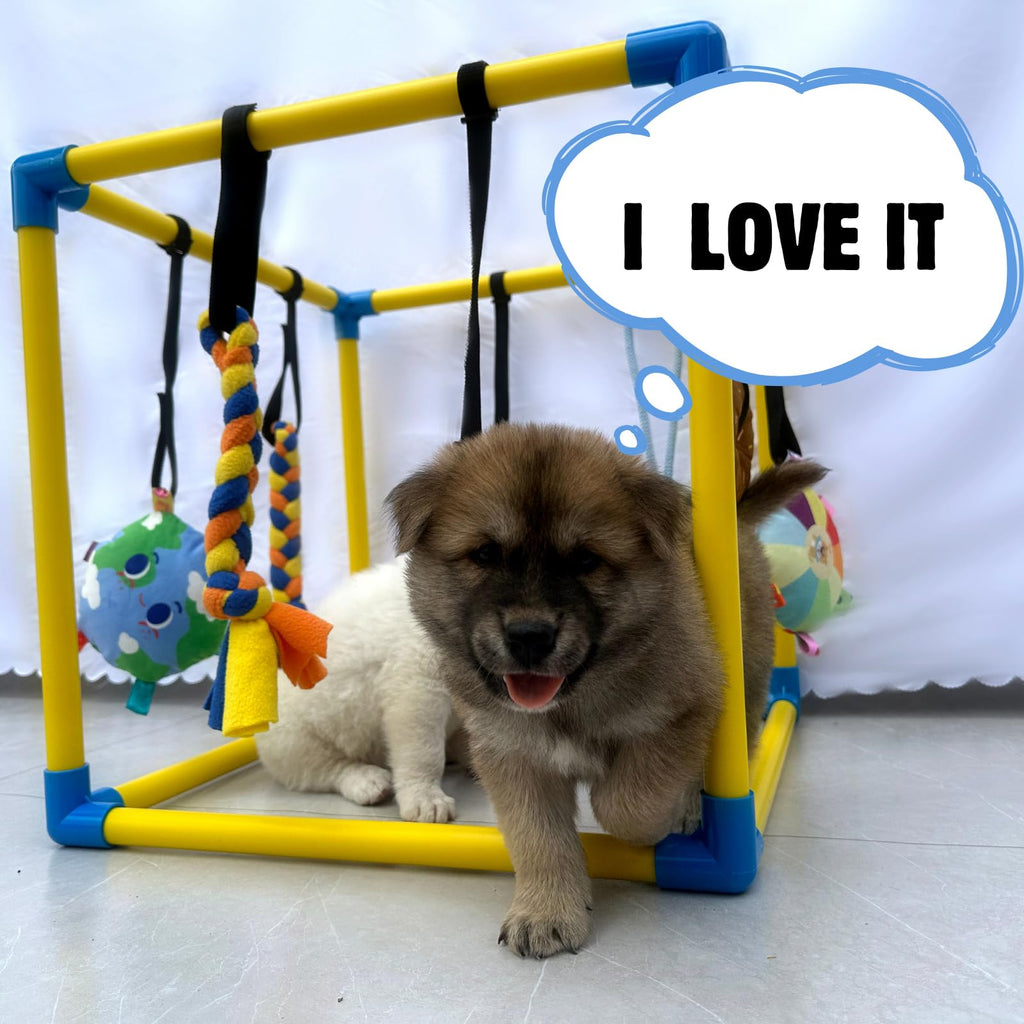 Puppy Play Gym with 8 Hanging Toys X260