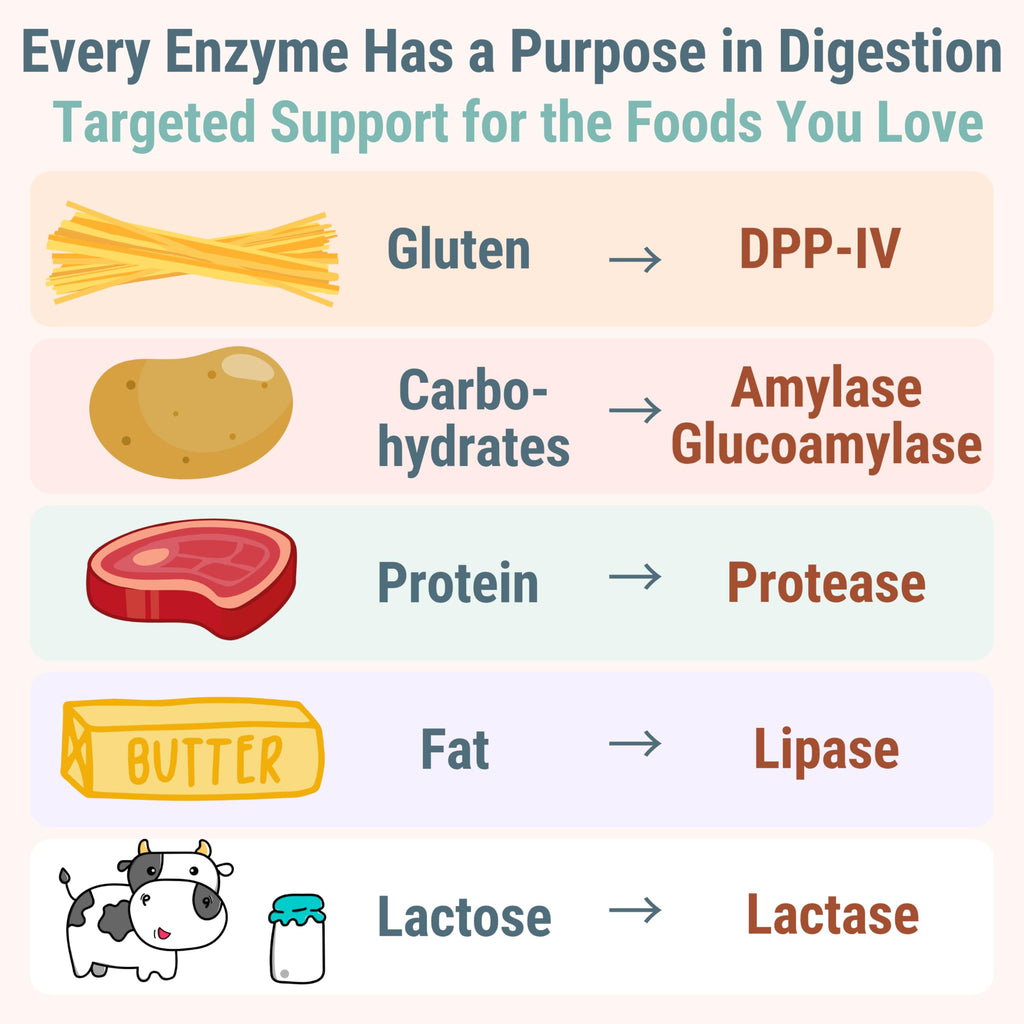 Gluten & Lactase Digestive Enzyme Gummies J522122