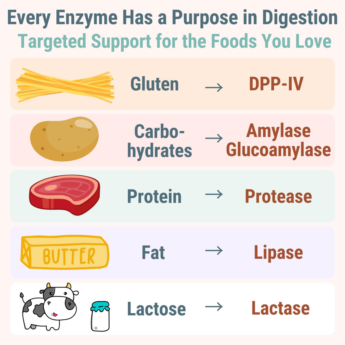 Gluten & Lactase Digestive Enzyme Gummies J522122