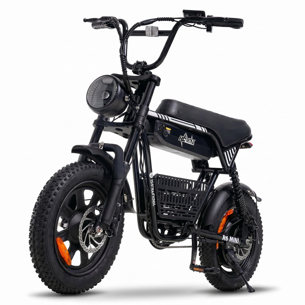 1000W Fat Tire Electric Bike with 48V 13Ah Battery F964