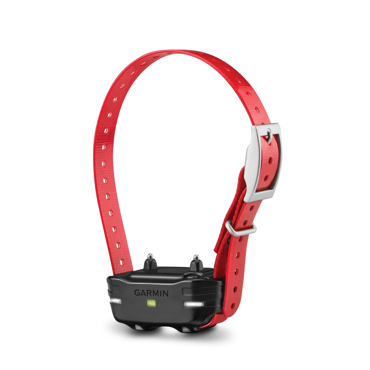 Red Dog Collar Z1346