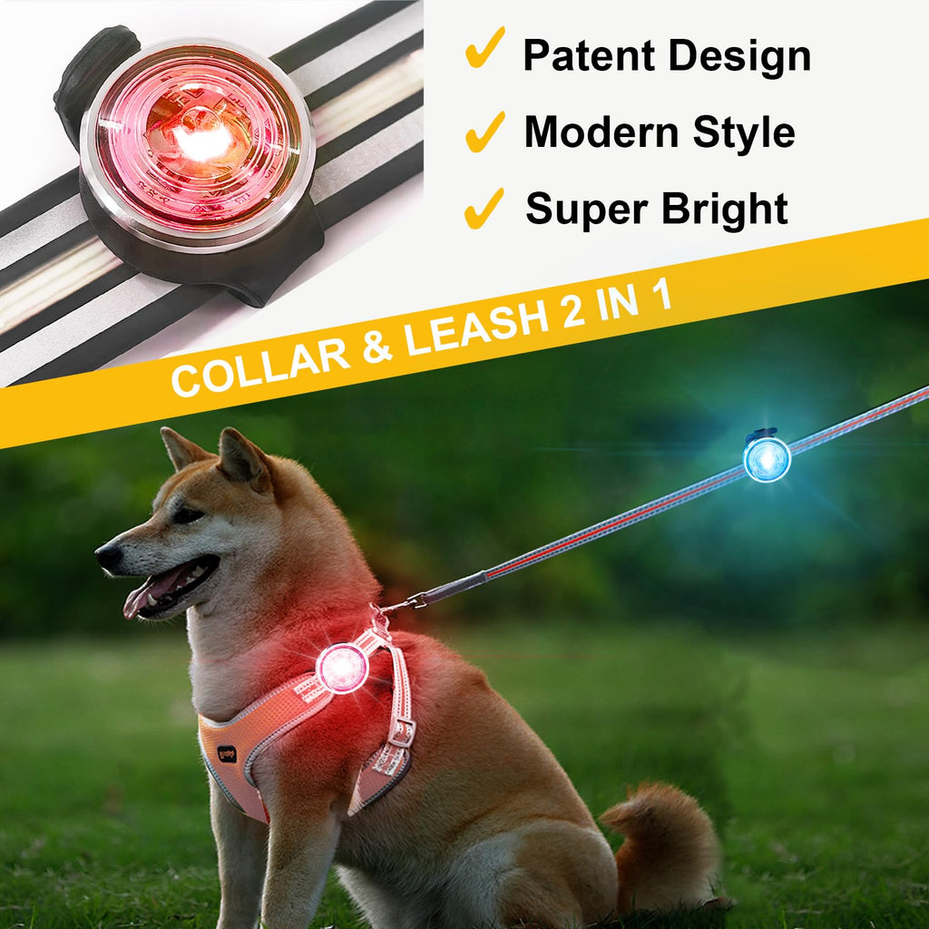 2-Pack Rechargeable Dog Collar Lights M794