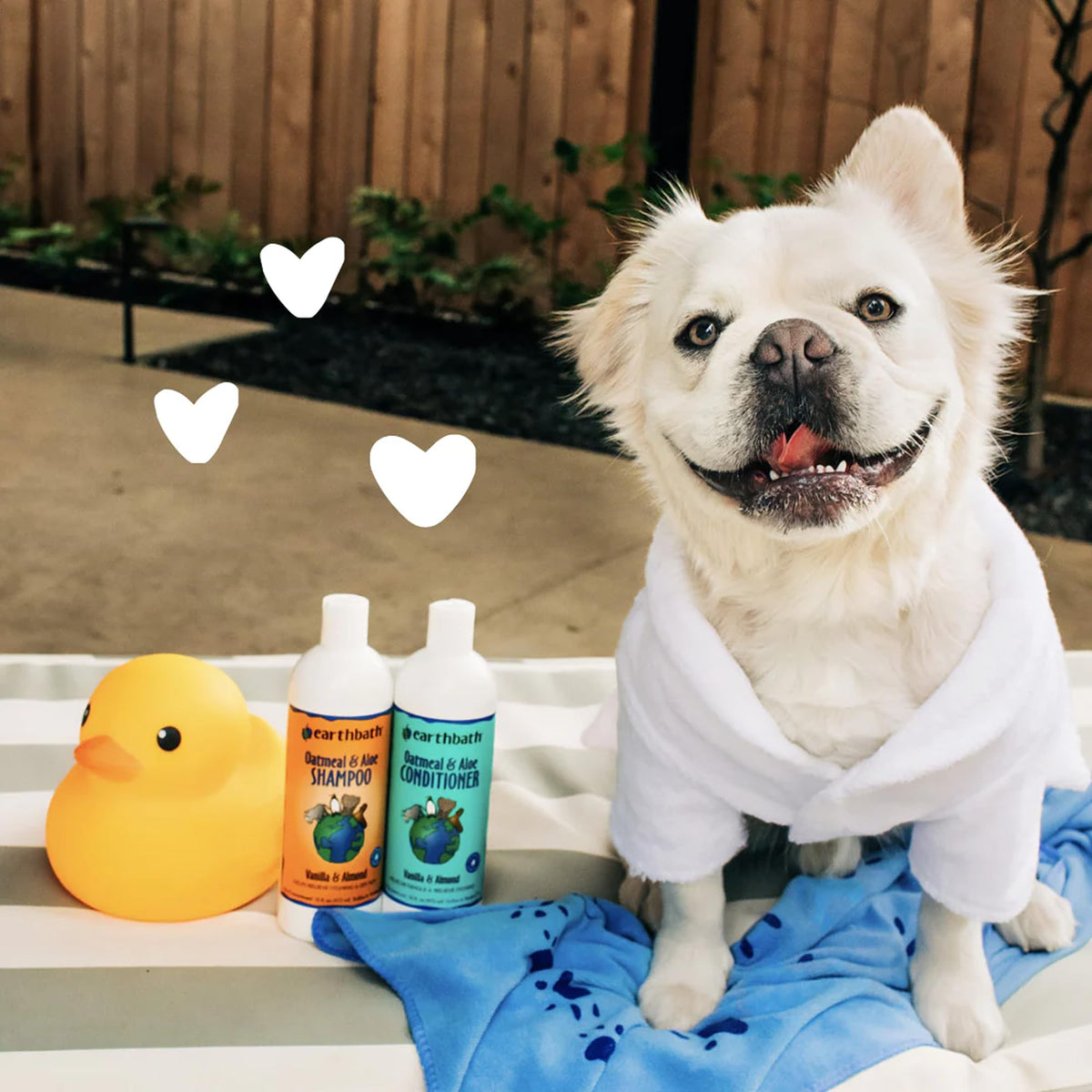 Oatmeal & Aloe Dog Shampoo, 16 Oz I548