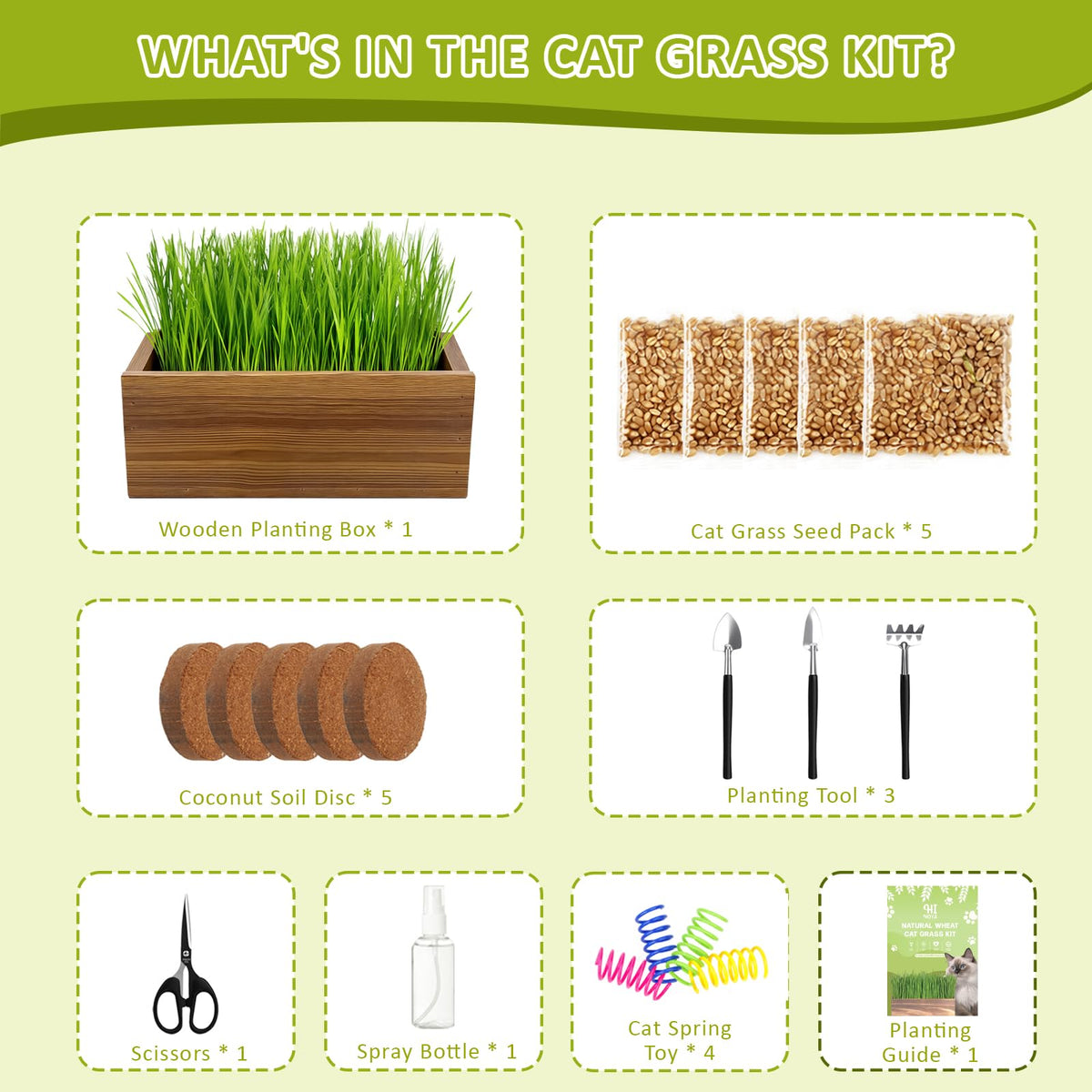 Cat Grass Kit with Wooden Planter 5 Pack N220469