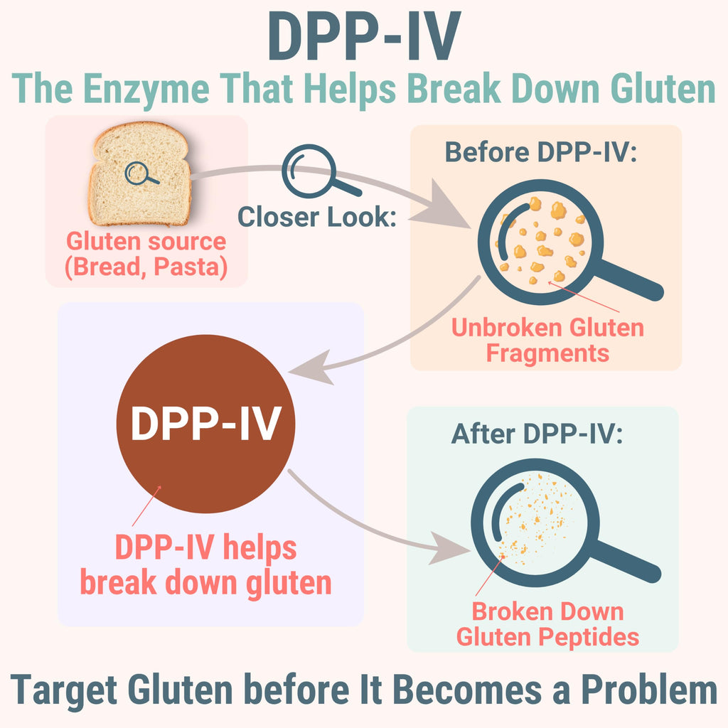 Gluten & Lactase Digestive Enzyme Gummies J522122