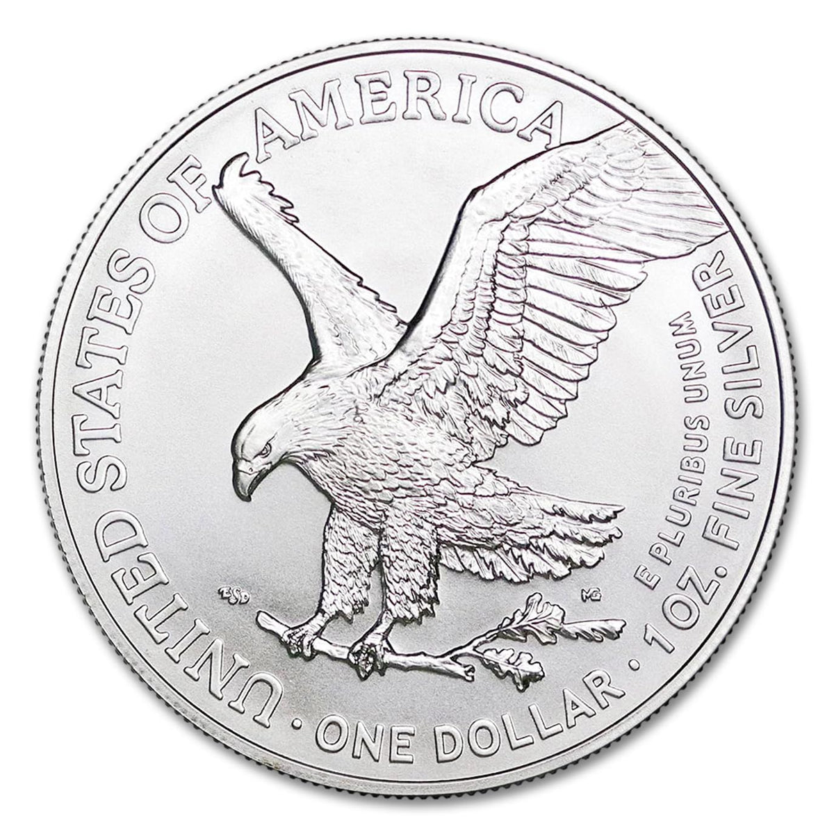 10 1 oz American Silver Eagle Coin B783570