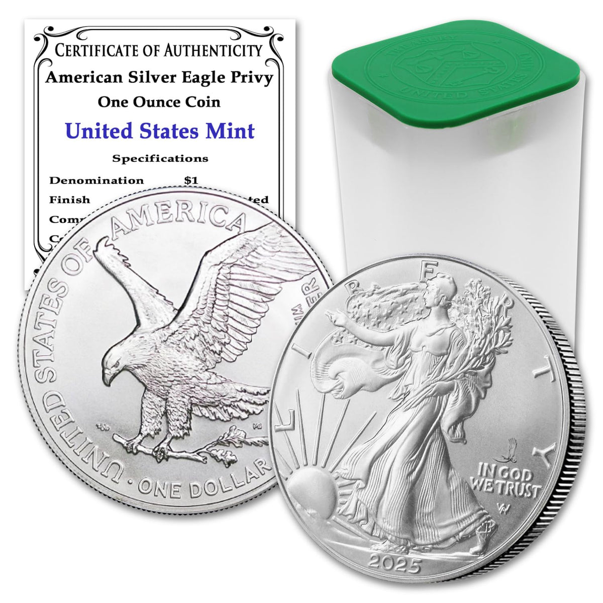 10 1 oz American Silver Eagle Coin B783570