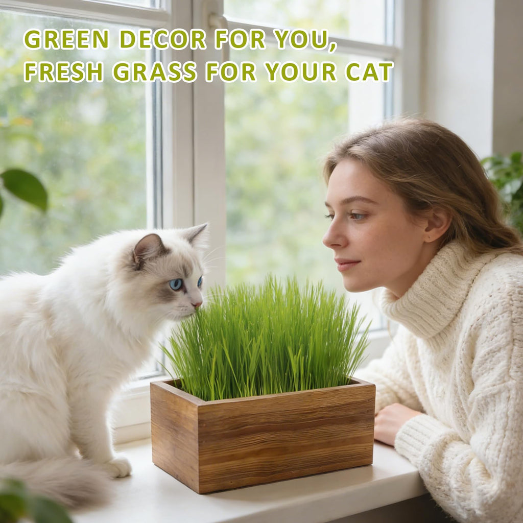 Cat Grass Kit with Wooden Planter 5 Pack N220469