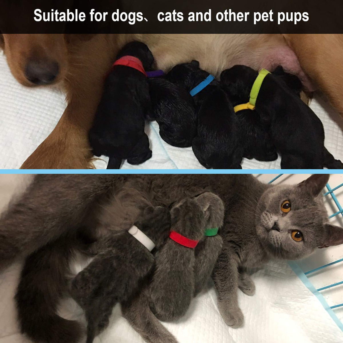 15 Pcs Soft Newborn Pet ID Bands A8962