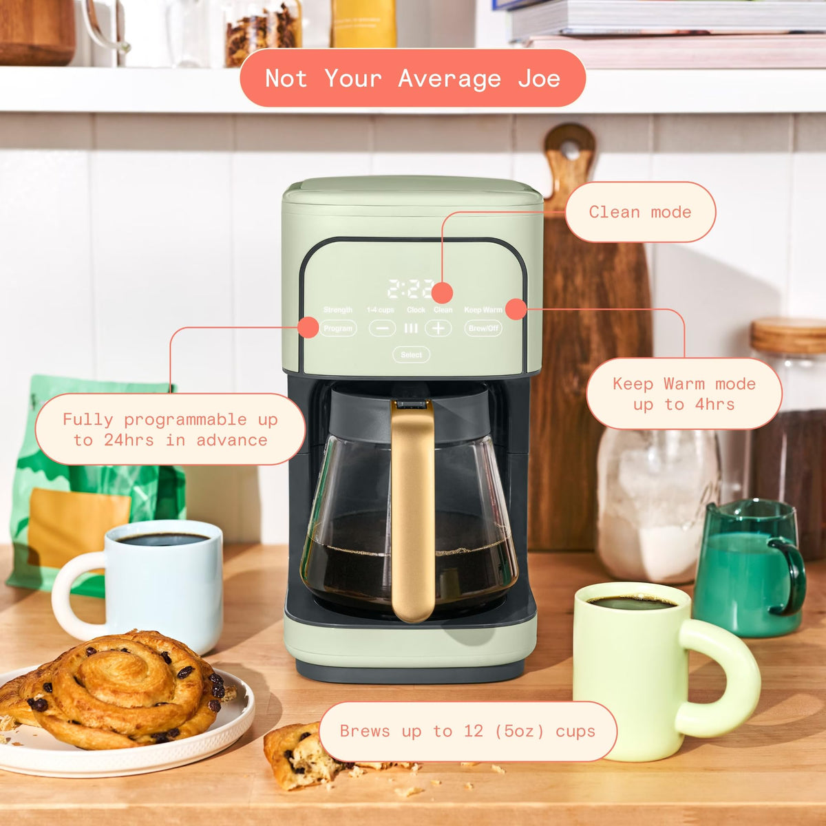 Sage Green 12-Cup Programmable Drip Coffee Maker W9037