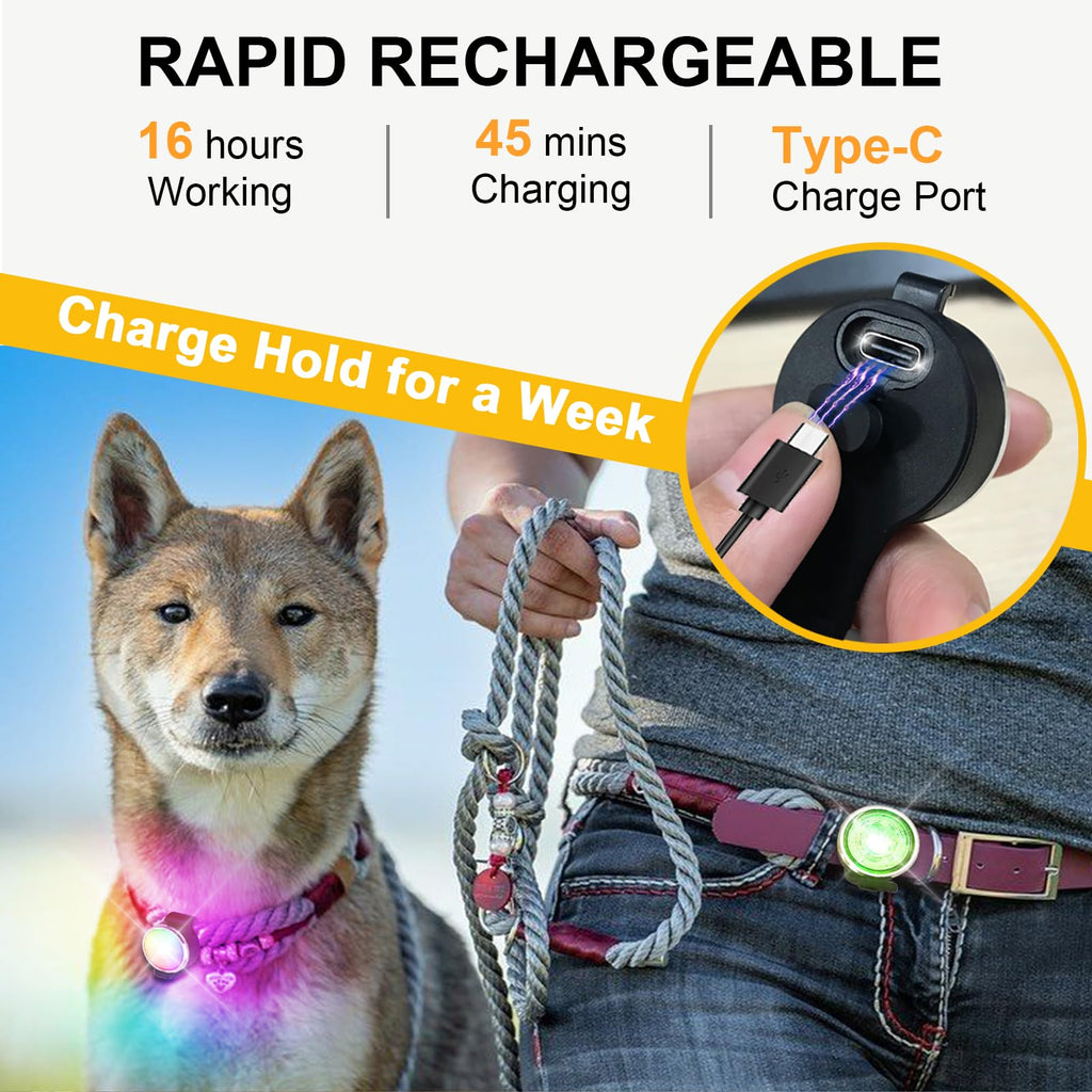 2-Pack Rechargeable Dog Collar Lights M794