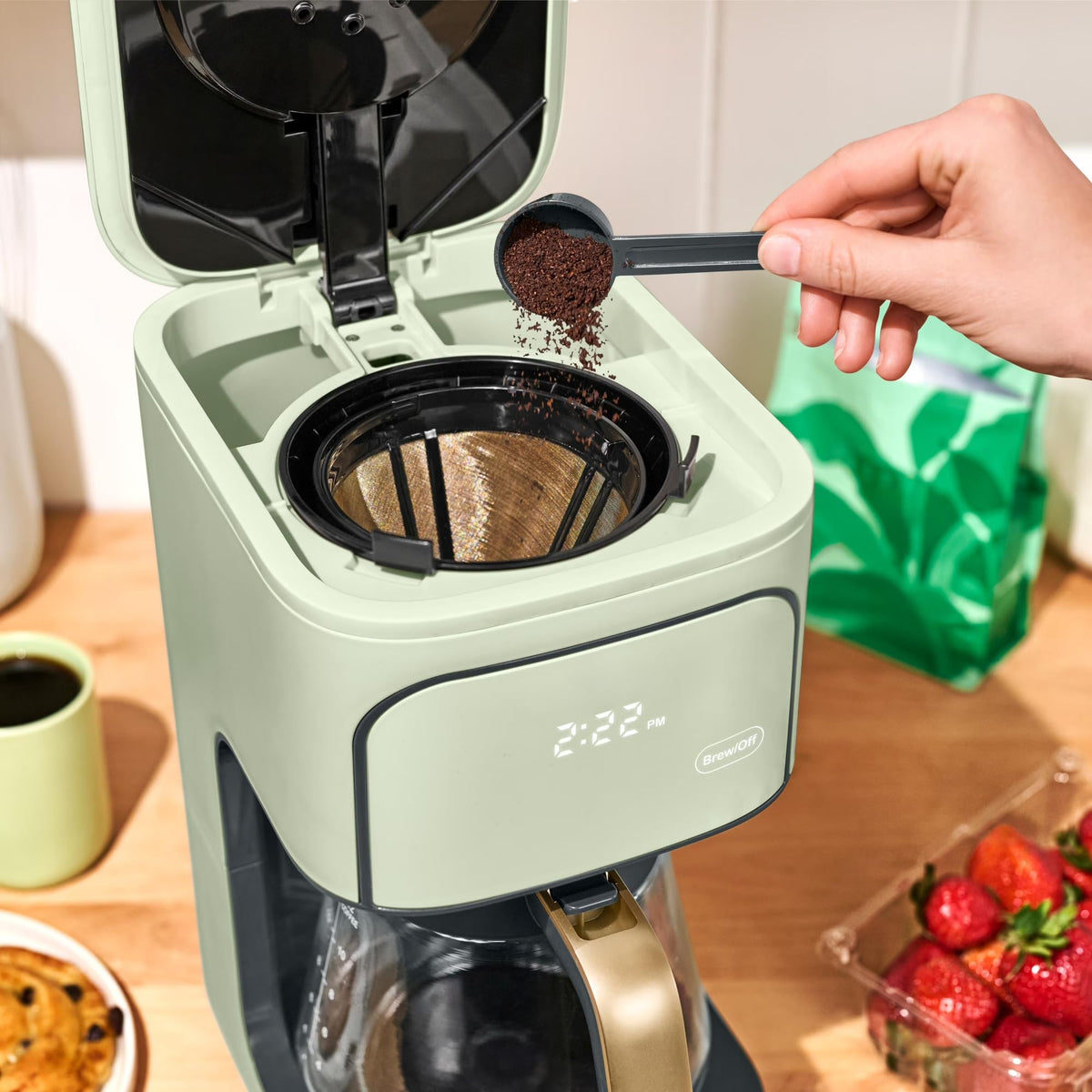 Sage Green 12-Cup Programmable Drip Coffee Maker W9037