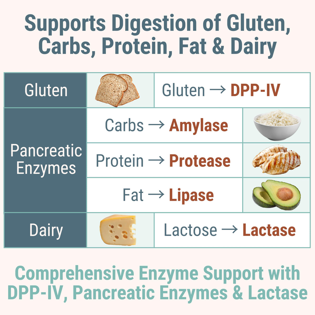 Gluten & Lactase Digestive Enzyme Gummies J522122