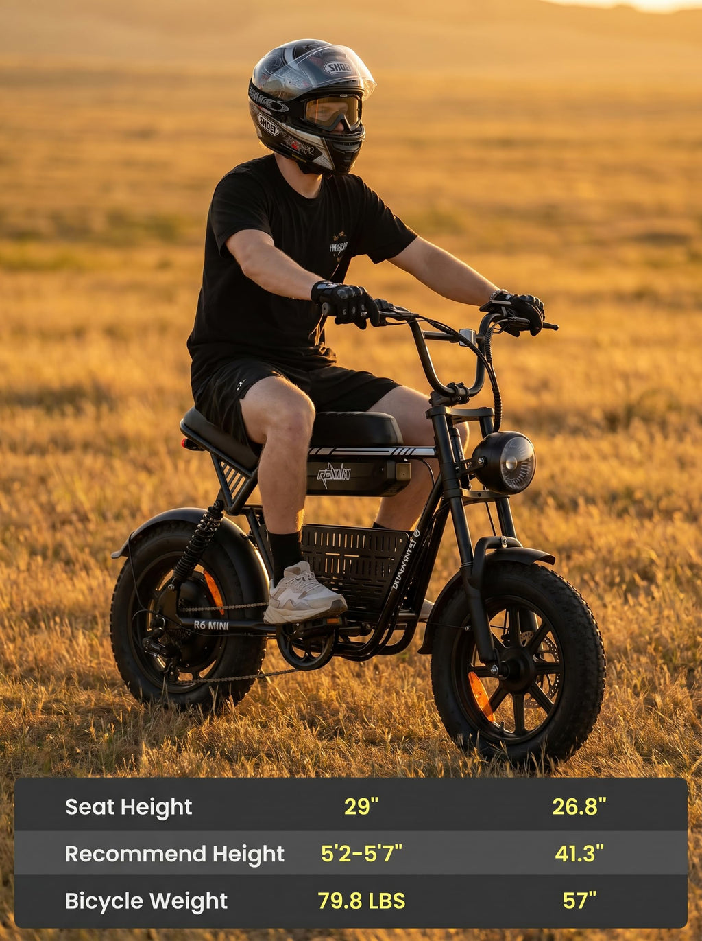 1000W Fat Tire Electric Bike with 48V 13Ah Battery F964