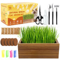 Cat Grass Kit with Wooden Planter 5 Pack N220469