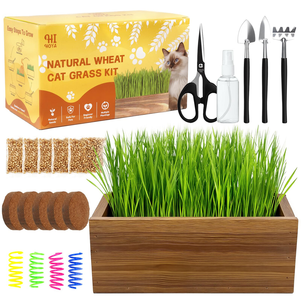 Cat Grass Kit with Wooden Planter 5 Pack N220469