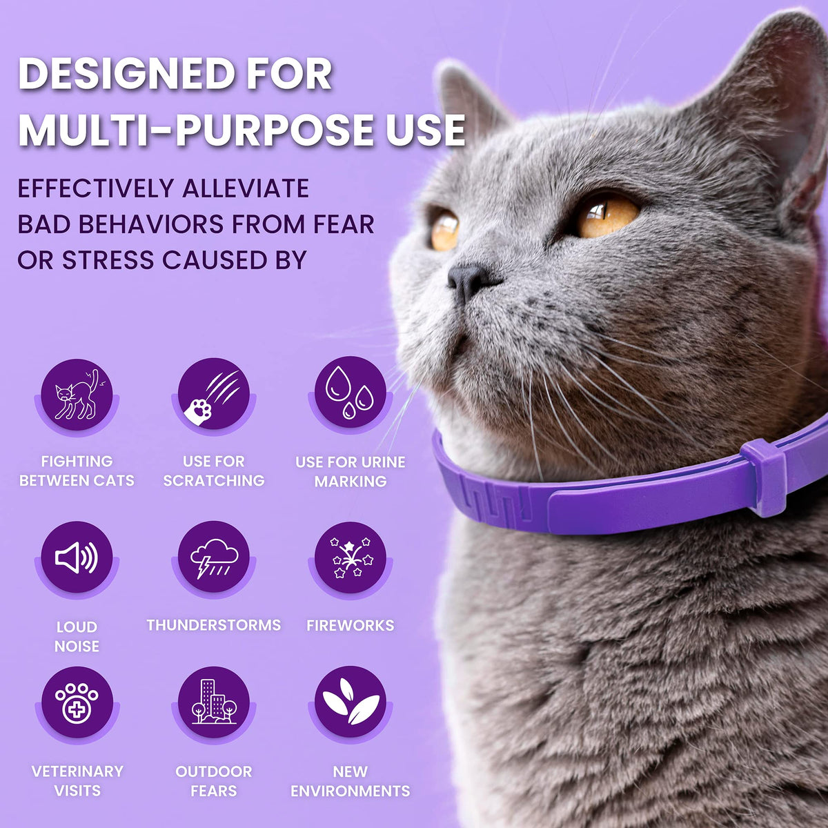 Purple Breakaway Calming Collar 4 Pack F9022