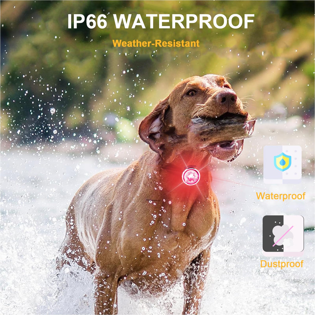 2-Pack Rechargeable Dog Collar Lights M794