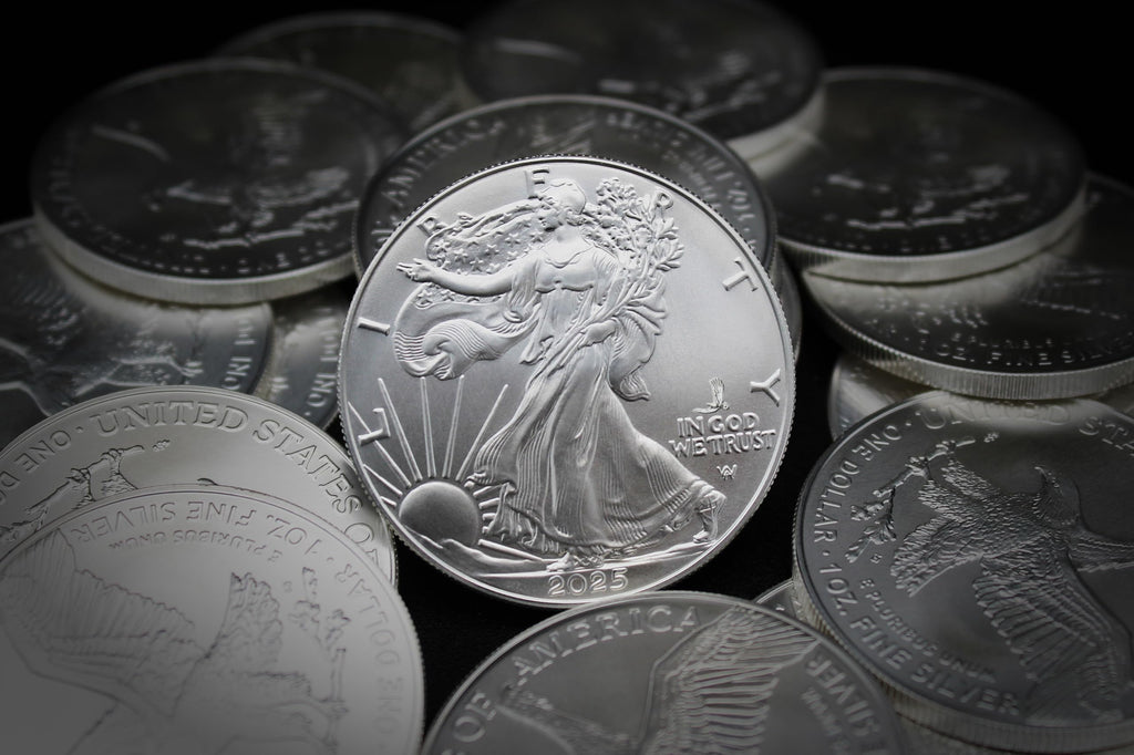 10 1 oz American Silver Eagle Coin B783570