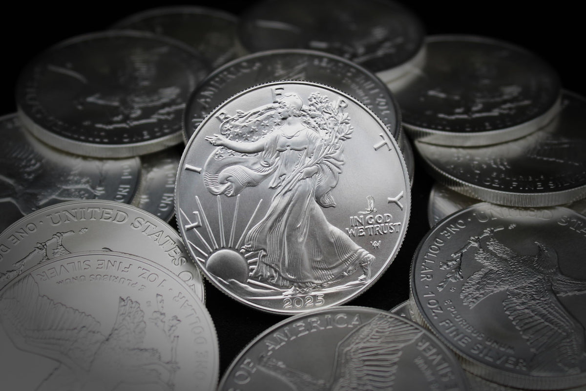10 1 oz American Silver Eagle Coin B783570