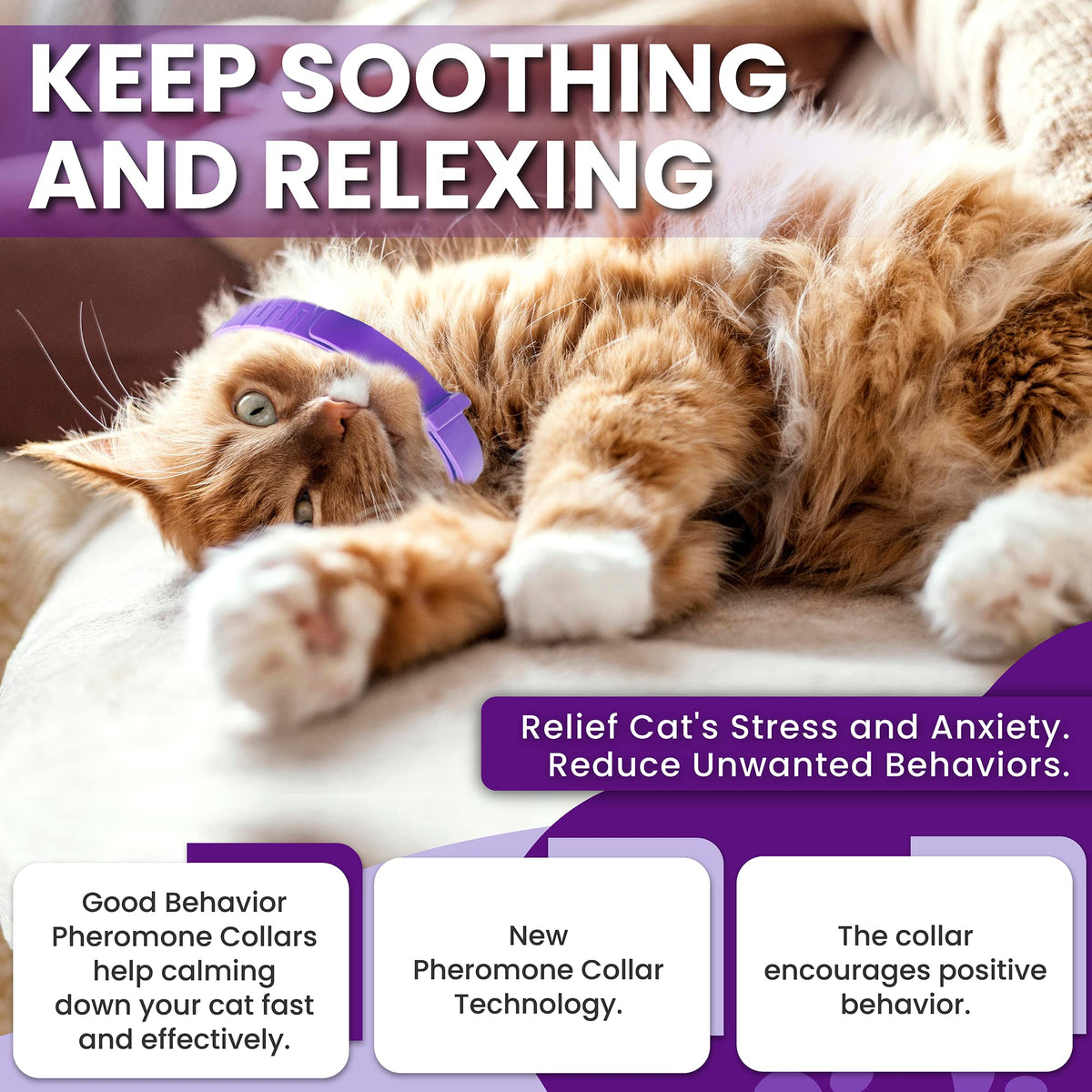 Purple Breakaway Calming Collar 4 Pack F9022