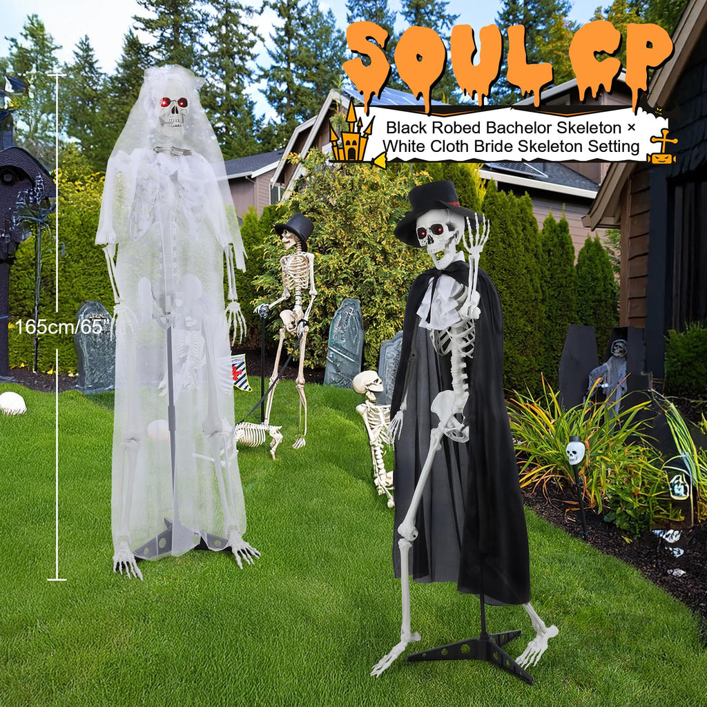Life Size Skeleton C37763