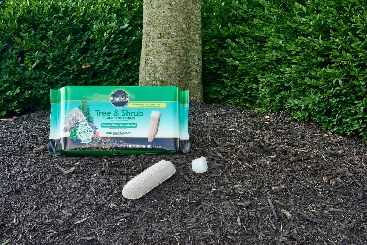 Tree & Shrub Plant Food Spikes 12 Spikes 2-Pack V597