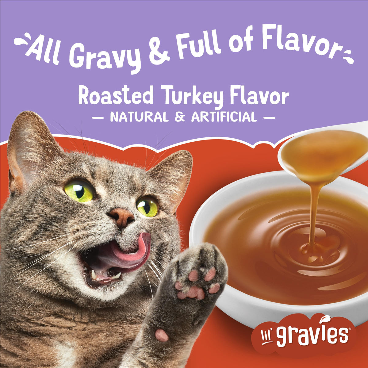 1.55 oz Cat Food Complement Pouches G993076