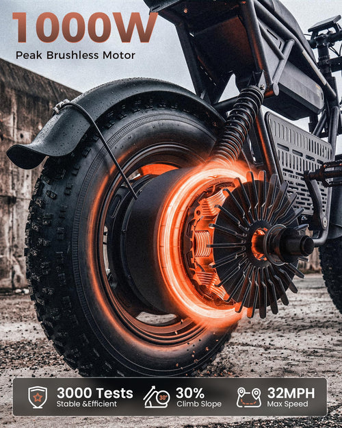 1000W Fat Tire Electric Bike with 48V 13Ah Battery F964